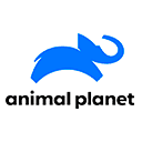 Телеканал Animal Planet онлайн